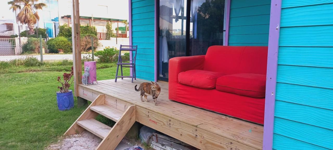 Cat Nap Cottage Bettyʼs Bay Exterior foto